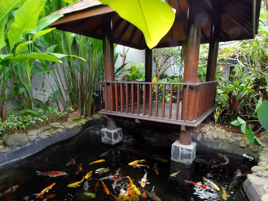 Inspirasi 5 Desain  Gazebo Di Atas Kolam  Ikan Minimalis  BISESA Contractor